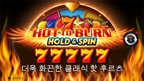 와일드 셀러브리티 버스 메가웨이즈