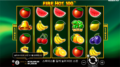 코이 폰드
